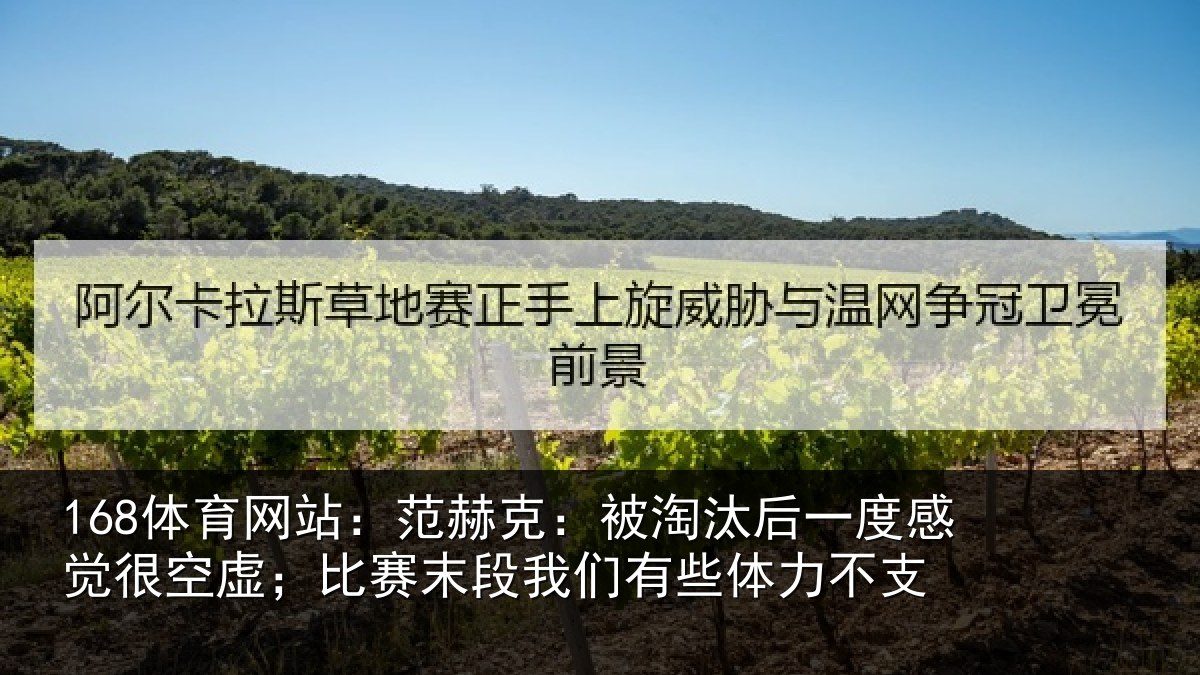 168体育网站：范赫克：被淘汰后一度感觉很空虚；比赛末段我们有些体力不支
